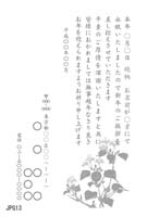 JPG13