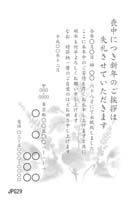 JPG29