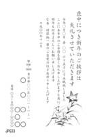 JPG33