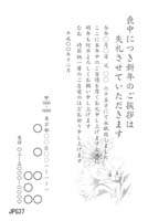 JPG37