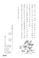 JPG40