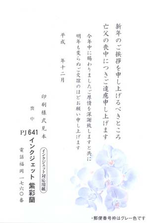 HPJ2641　柴彩蘭