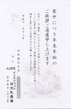 HPJ2675　白雲礼　蒼菊