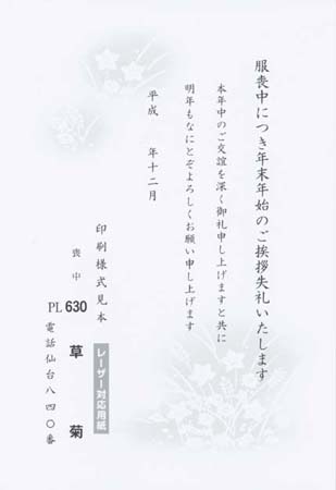 HPL2630　草　菊