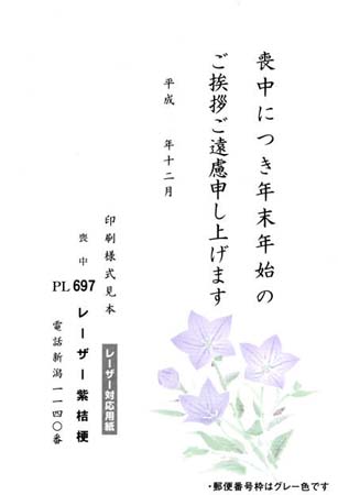 HPL2697　紫桔梗