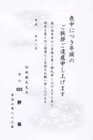 HPM2625　野　菊