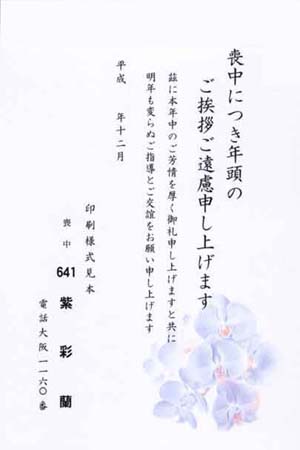 HPM2641　紫彩蘭