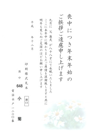 HPM2648　小　菊