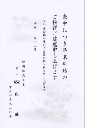 HPM2652　山　菊