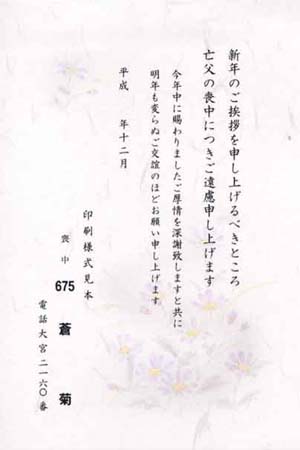 HPM2675　蒼　菊