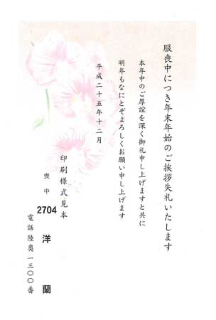 HPM2704　洋蘭