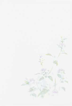 P761　四方華(よもはな)