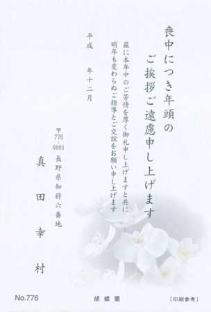P776　胡蝶蘭