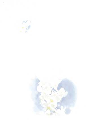 P784　面影