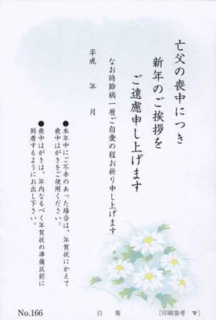 Y6166　白　菊