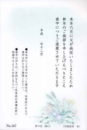 Y6167　野の花