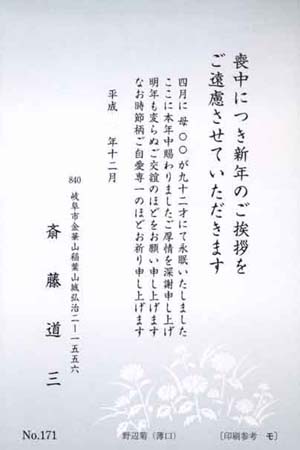 Y6171　野辺菊