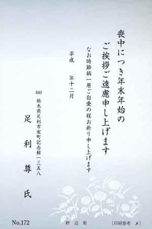 Y6172　野辺菊