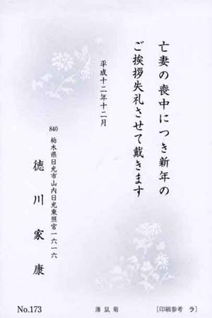 Y6173　薄鼠菊