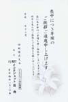 HPJ2627百　合