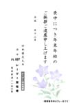 HPL2697紫桔梗