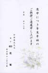 HPM2623花　菊