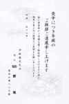 HPM2625野　菊