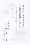 HPM2630草　菊