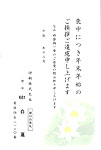 HPM2681白　蓮