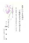 HPM2703あやめ