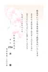 HPM2704洋蘭