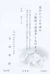 P776胡蝶蘭