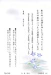 Y6168桔　梗