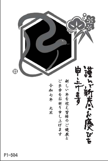 P1-504