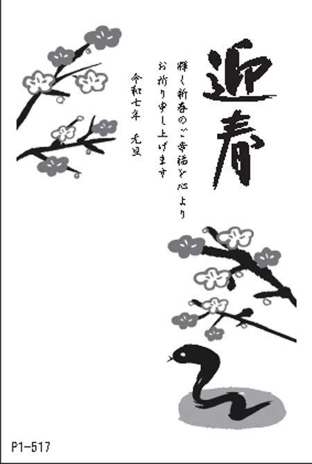 P1-517