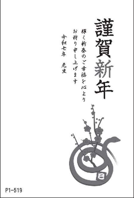 P1-519