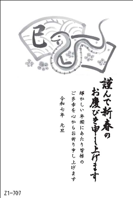 Z1-707