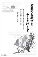 P1-510
