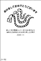 Z1-793