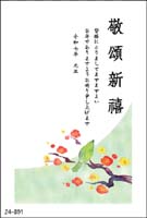 Z4-801